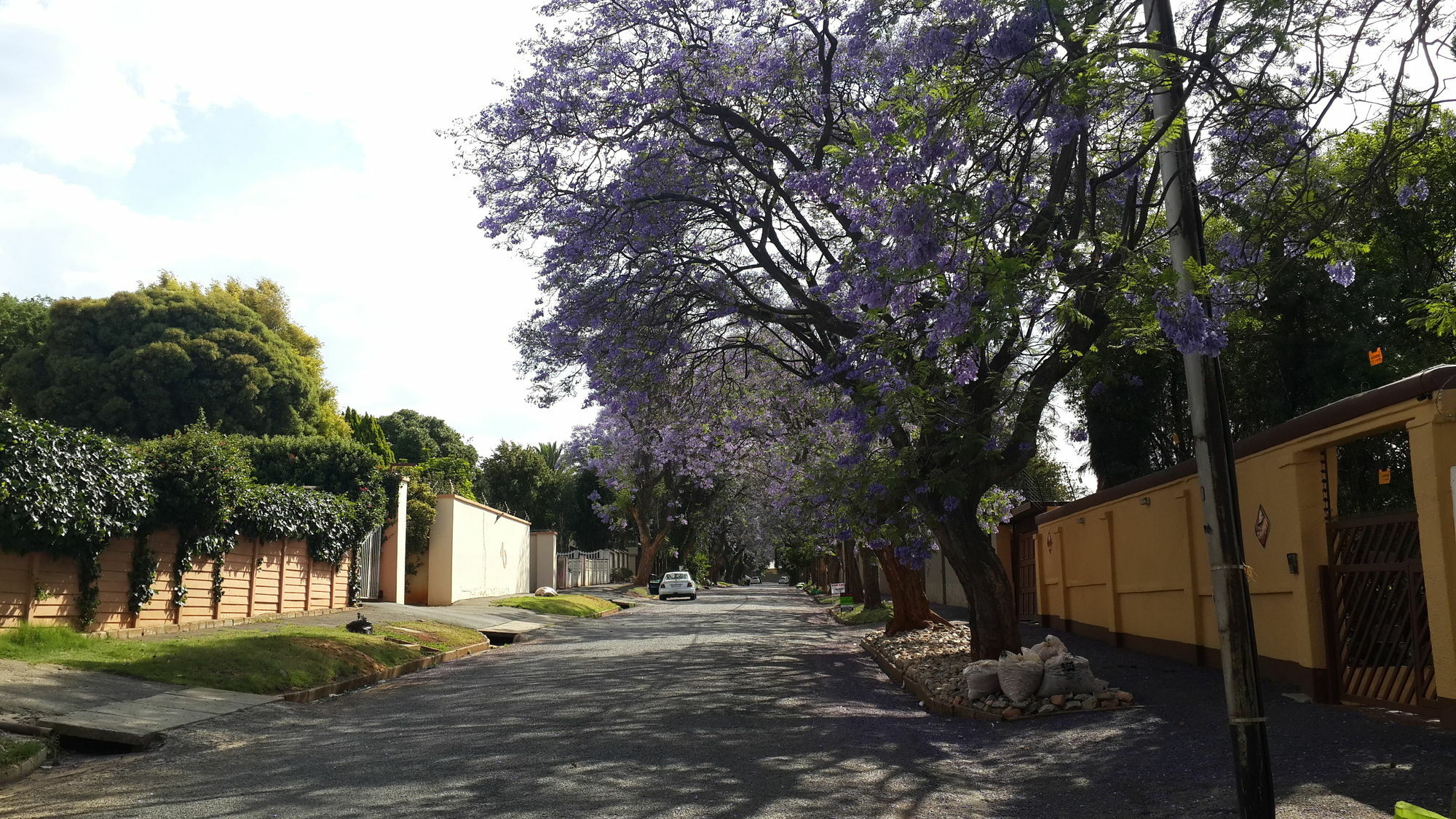 Monica'S Cottage Johannesburg Exterior foto